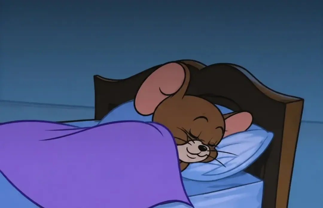 Give A Sleep Without Alarm